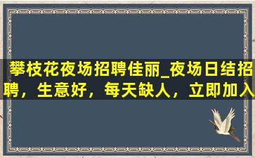白山夜总会招聘